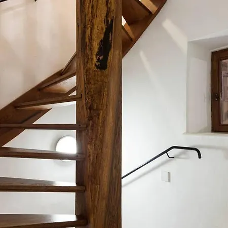 Apartamento Nicolaye 57